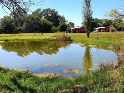 Cabañas Sauce y Flor